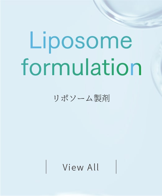 Liposome formulation